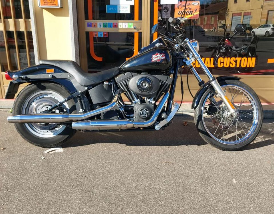 Officina specializzata su base Harley Davidson a Torino e provincia, custom  e riparazioni
